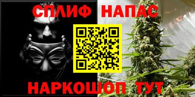 стафф Моздок