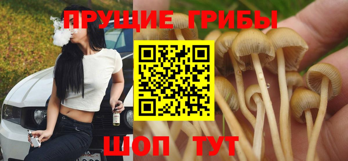 Галлюциногенные грибы прущие грибы  где можно купить наркотик  Вязьма  Вход с VPN  Псилоцибиновые грибы мицелий 