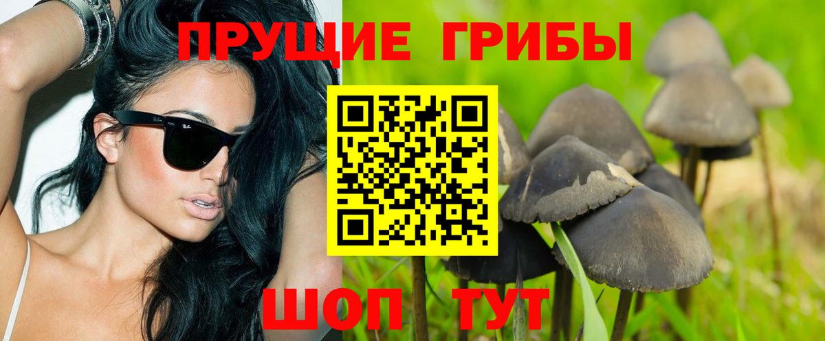 Галлюциногенные грибы GOLDEN TEACHER Вязьма